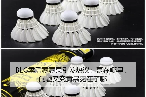 BLG季后赛赛果引发热议：赢在哪里，问题又究竟暴露在了哪